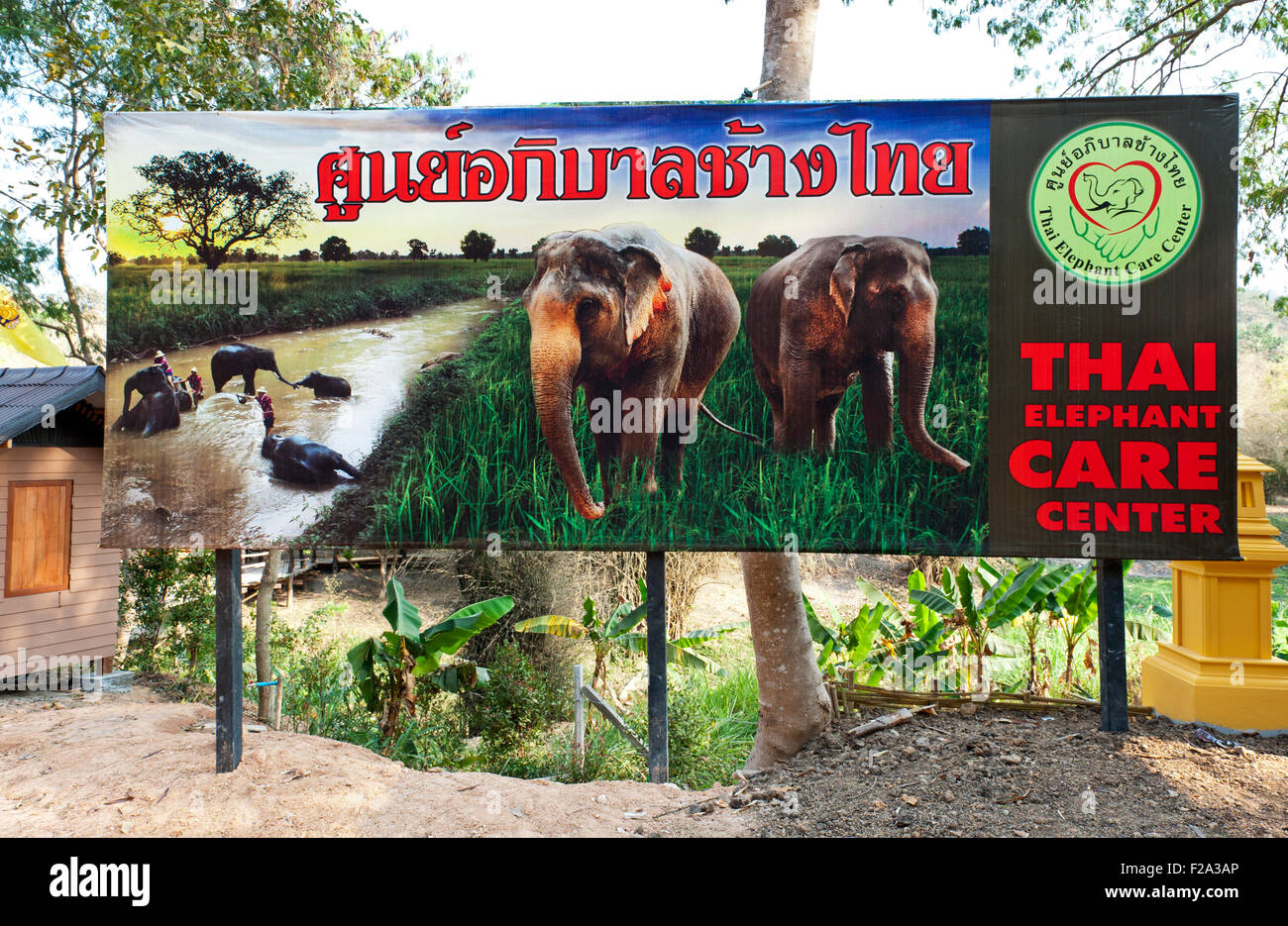 Panneau à l'entrée de la Thai Elephant Care Centre, Maesa Elephant Camp, Mae Rim, Chiang Mai, Thaïlande Banque D'Images Panneau à l'entrée de la Thai Elephant Care Centre, Maesa Elephant Camp, Mae Rim, Chiang Mai, Thaïlande Banque D'Images