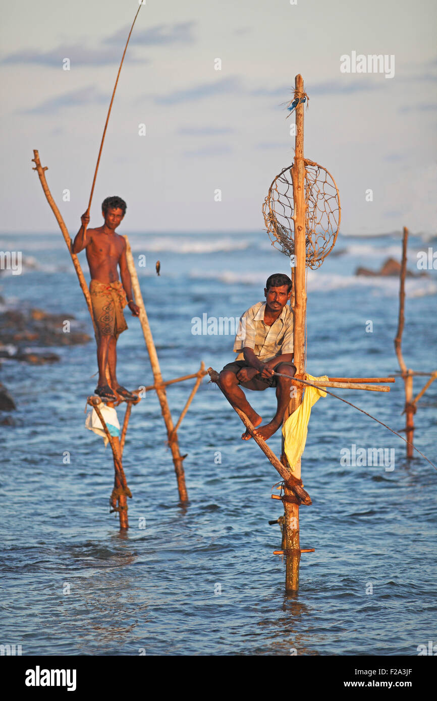 Pêche à échasses sous le soleil du soir, Weligama, Province du Sud, océan Indien, Ceylan, Sri Lanka Banque D'Images