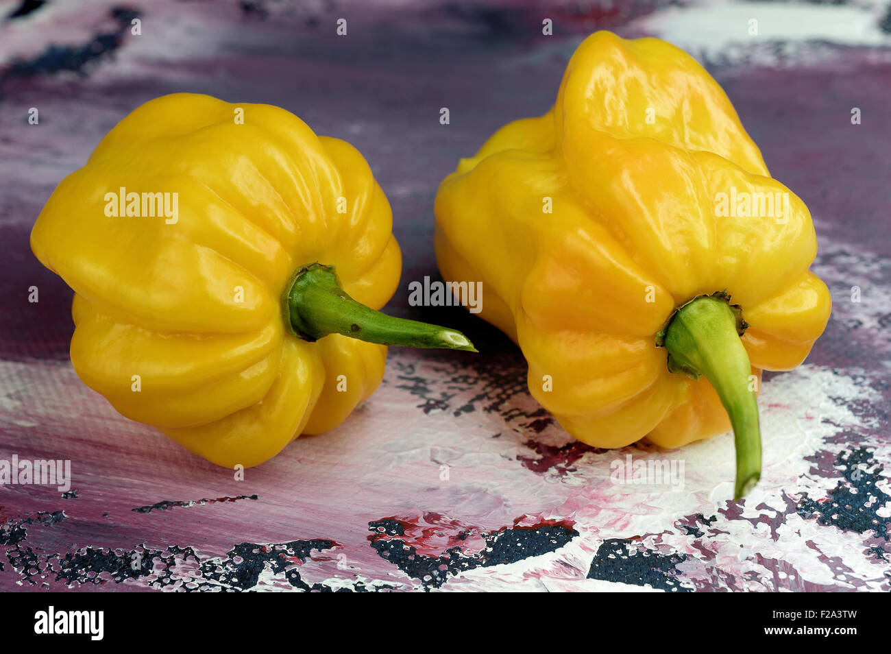 Lanterne jaune, poivre piment (Capsicum chinense Photo Stock - Alamy