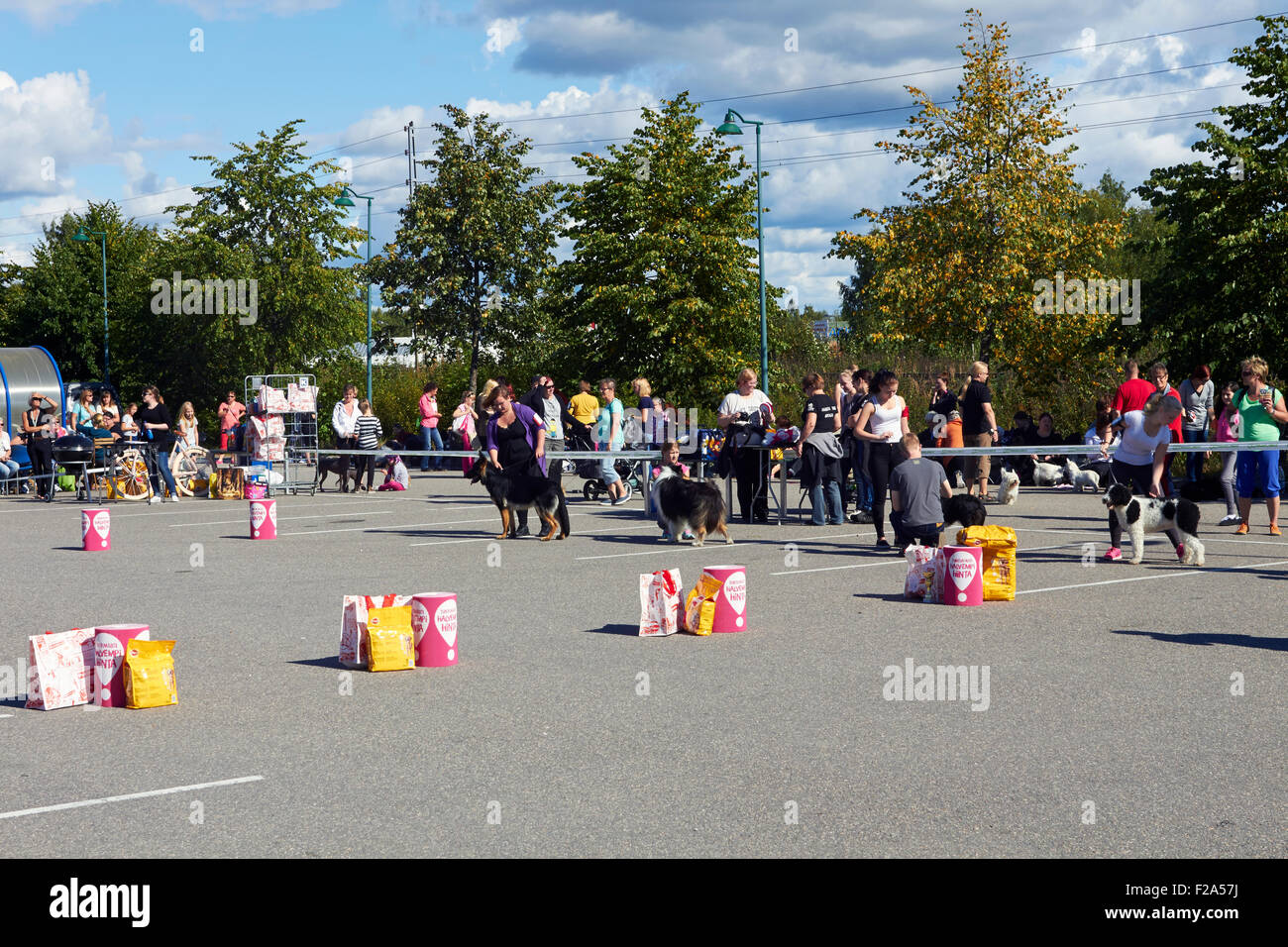 Dog show sur un parking, Imatra en Finlande Banque D'Images