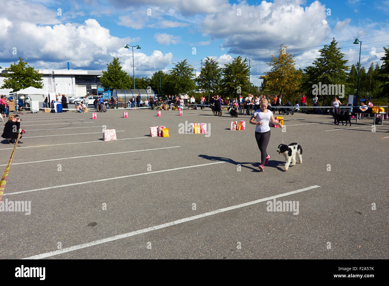 Dog show sur un parking, Imatra en Finlande Banque D'Images