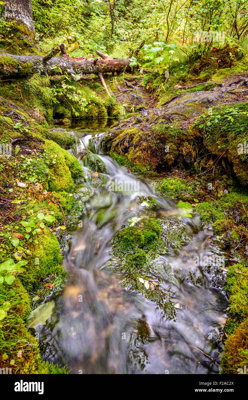 Cold Mountain Spring, Radium British Columbia, Canada Banque D'Images