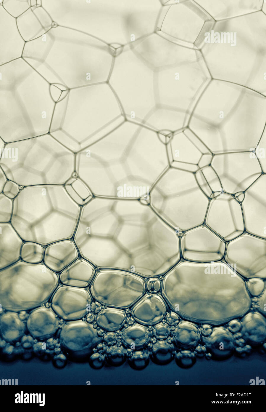 Extreme macro - bulles stylisées élégantes formes hexagonales Banque D'Images