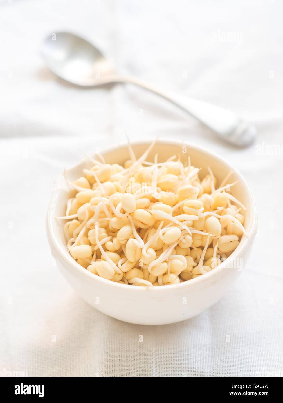 Germes de soja biologique dans un bol blanc sur un fond clair. Banque D'Images