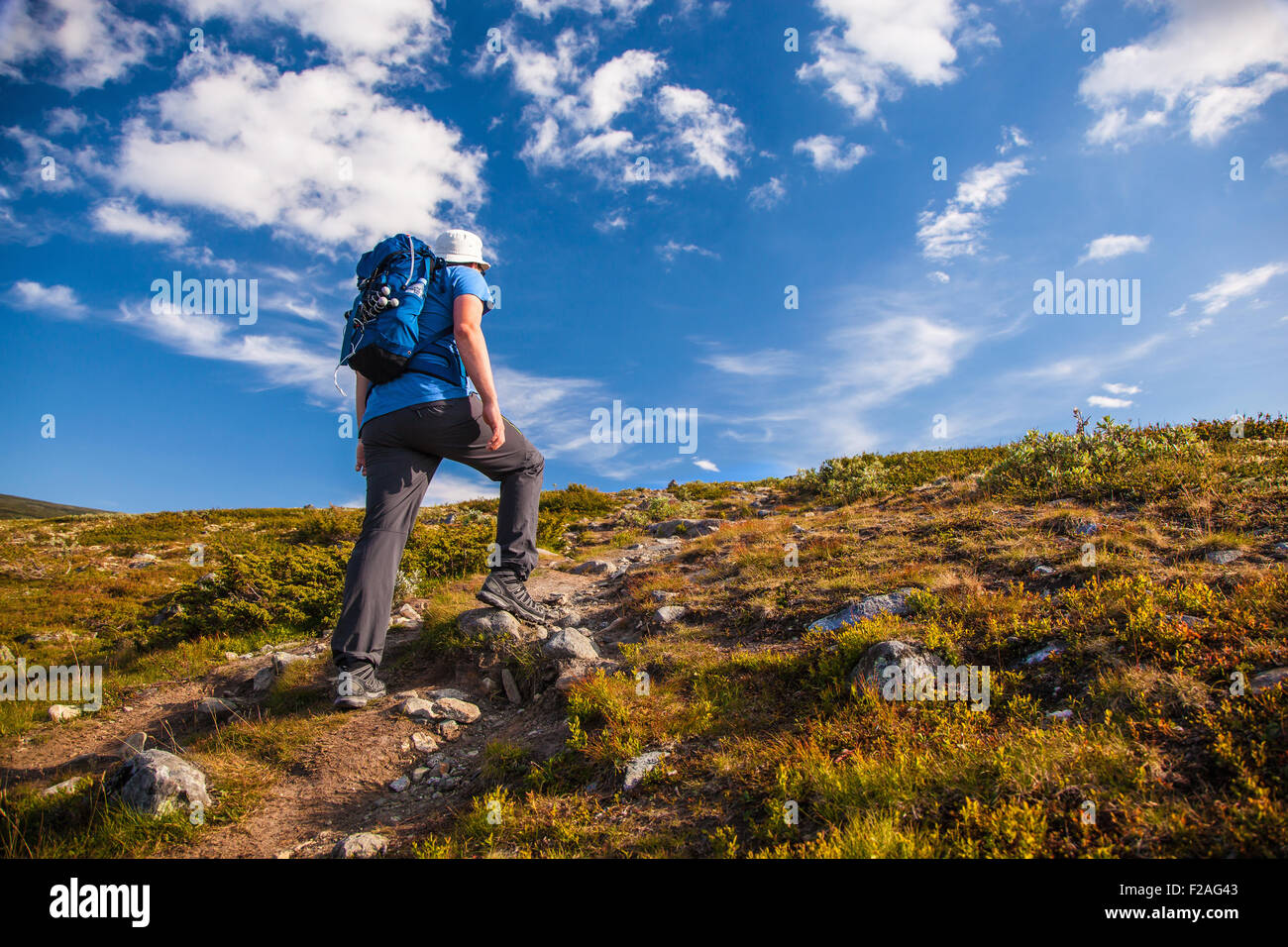 Sac à dos de randonneur avec voyager en Norvège montagnes Dovre Banque D'Images