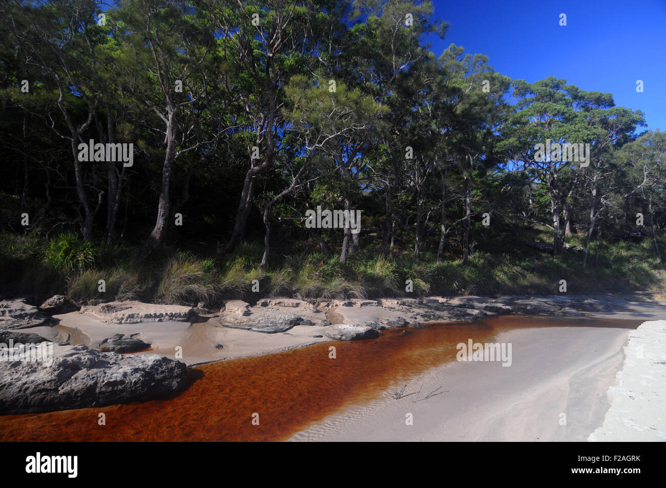 Le sein d'Abraham, Currarong, Shoalhaven, Jervis Bay National Park, NSW, Australie Banque D'Images