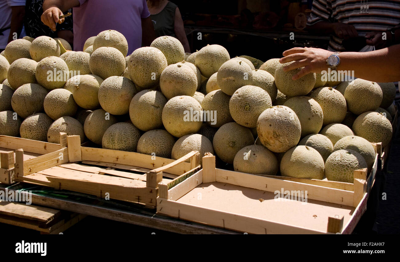 Les melons cantaloups frais sur une caisse de fruits Banque D'Images
