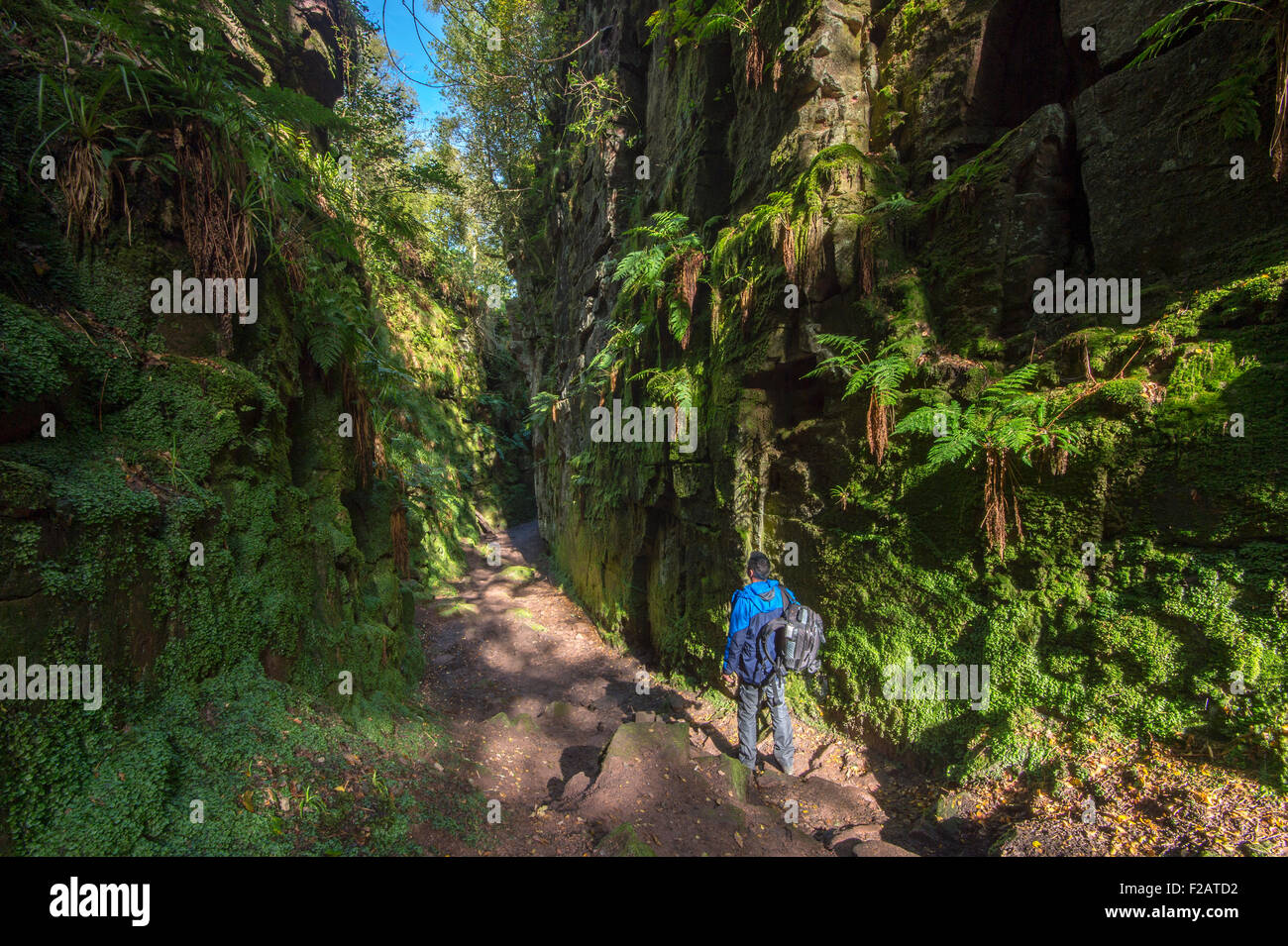 Près de l'église de Lud Gradbach, parc national de Peak District, Staffordshire, England, UK Banque D'Images