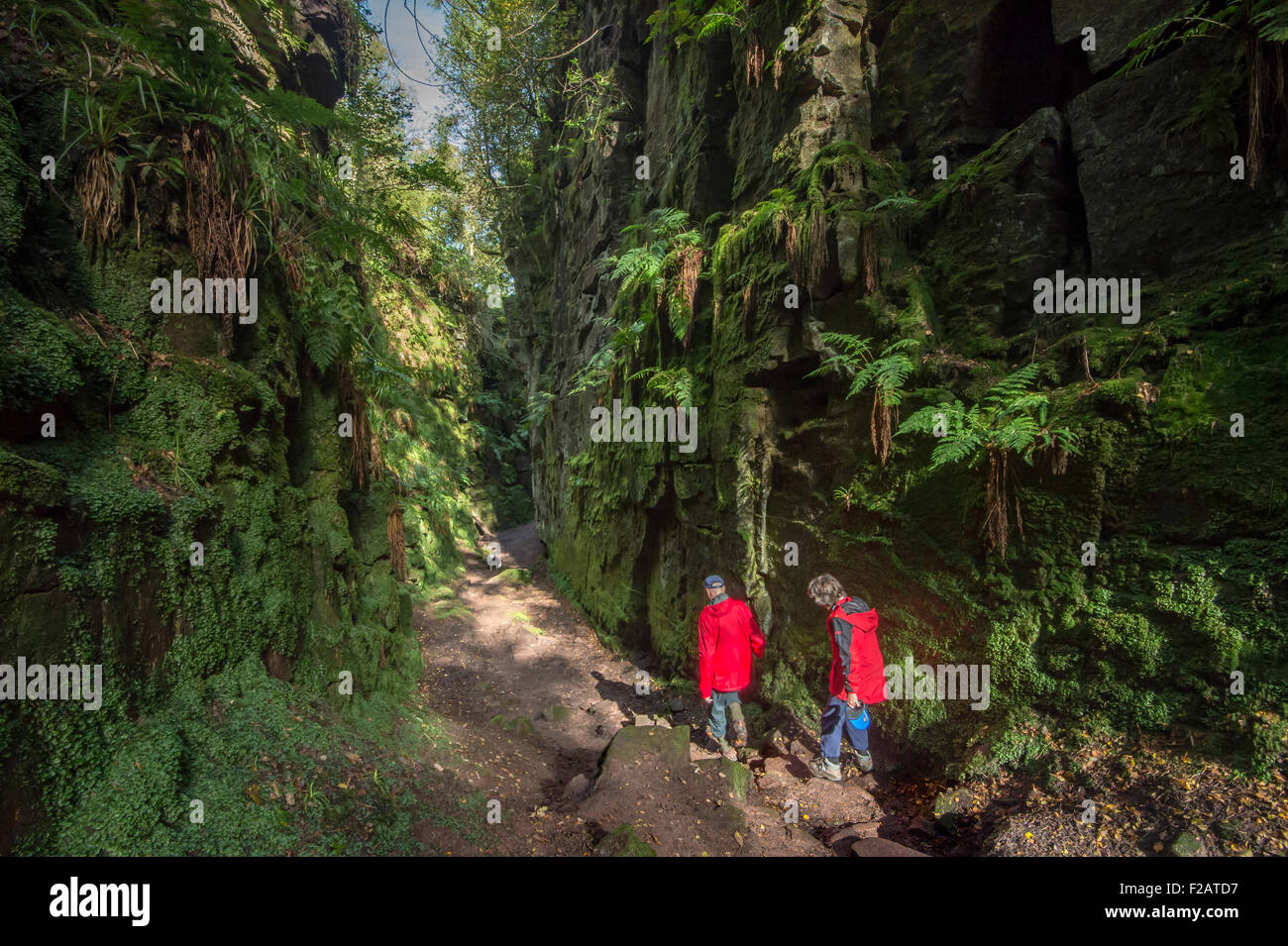 Près de l'église de Lud Gradbach, parc national de Peak District, Staffordshire, England, UK Banque D'Images