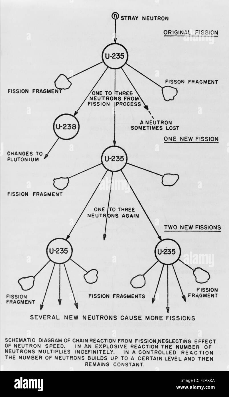 Schéma de réaction en chaîne de fission de l'uranium 235. À partir d'une publication du gouvernement des États-Unis par Henry DeWolf Smyth, ca. De 1940 à 1945. (BSLOC_2015_2_19) Banque D'Images