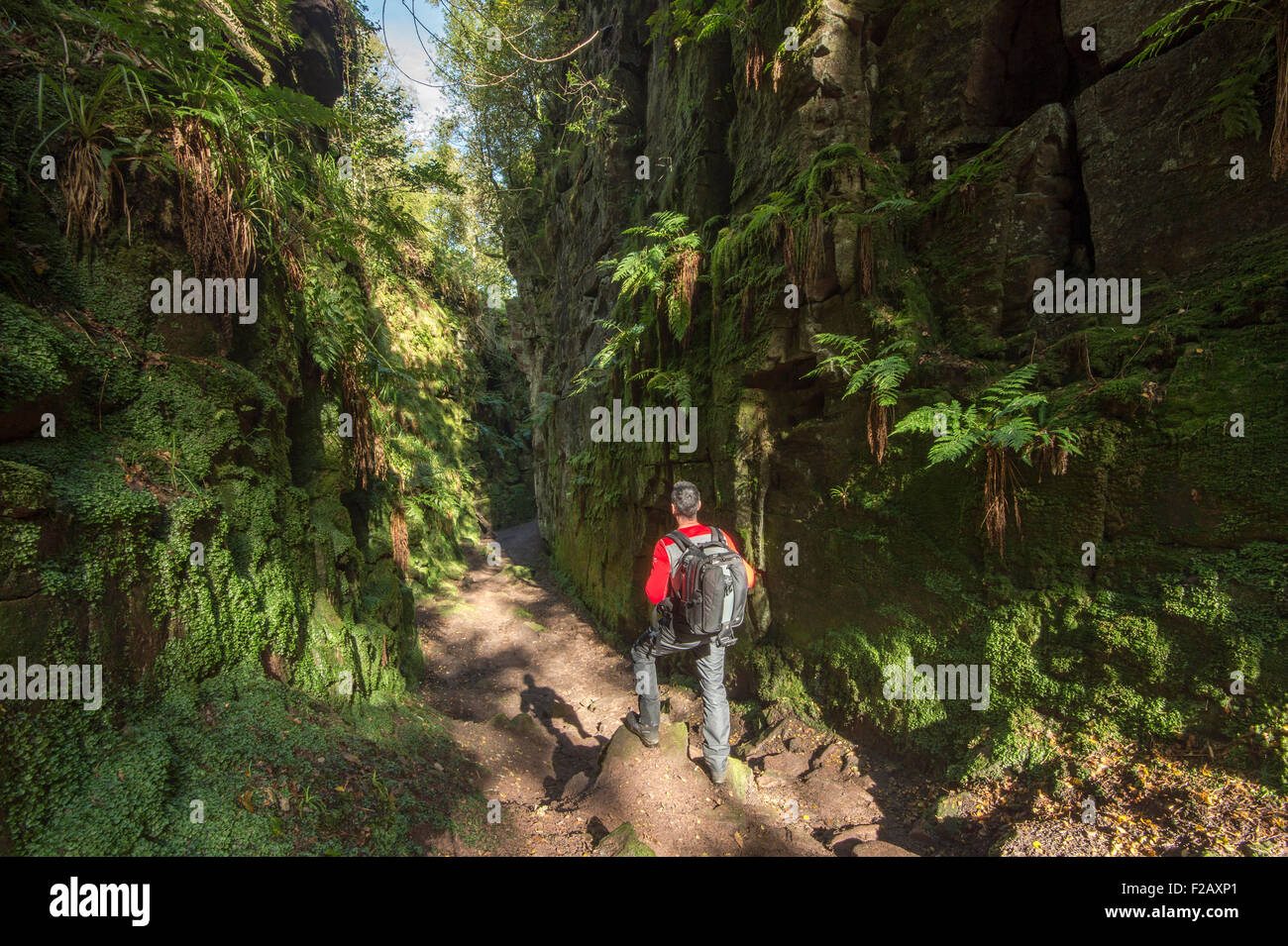 Un Walker à l'Église près de Gradbach Lud, parc national de Peak District, Staffordshire, England, UK Banque D'Images