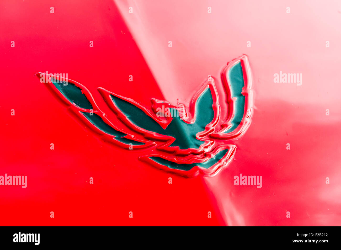 Logo sur le capot (hood) d'une Pontiac Trans-Am Firebird Banque D'Images