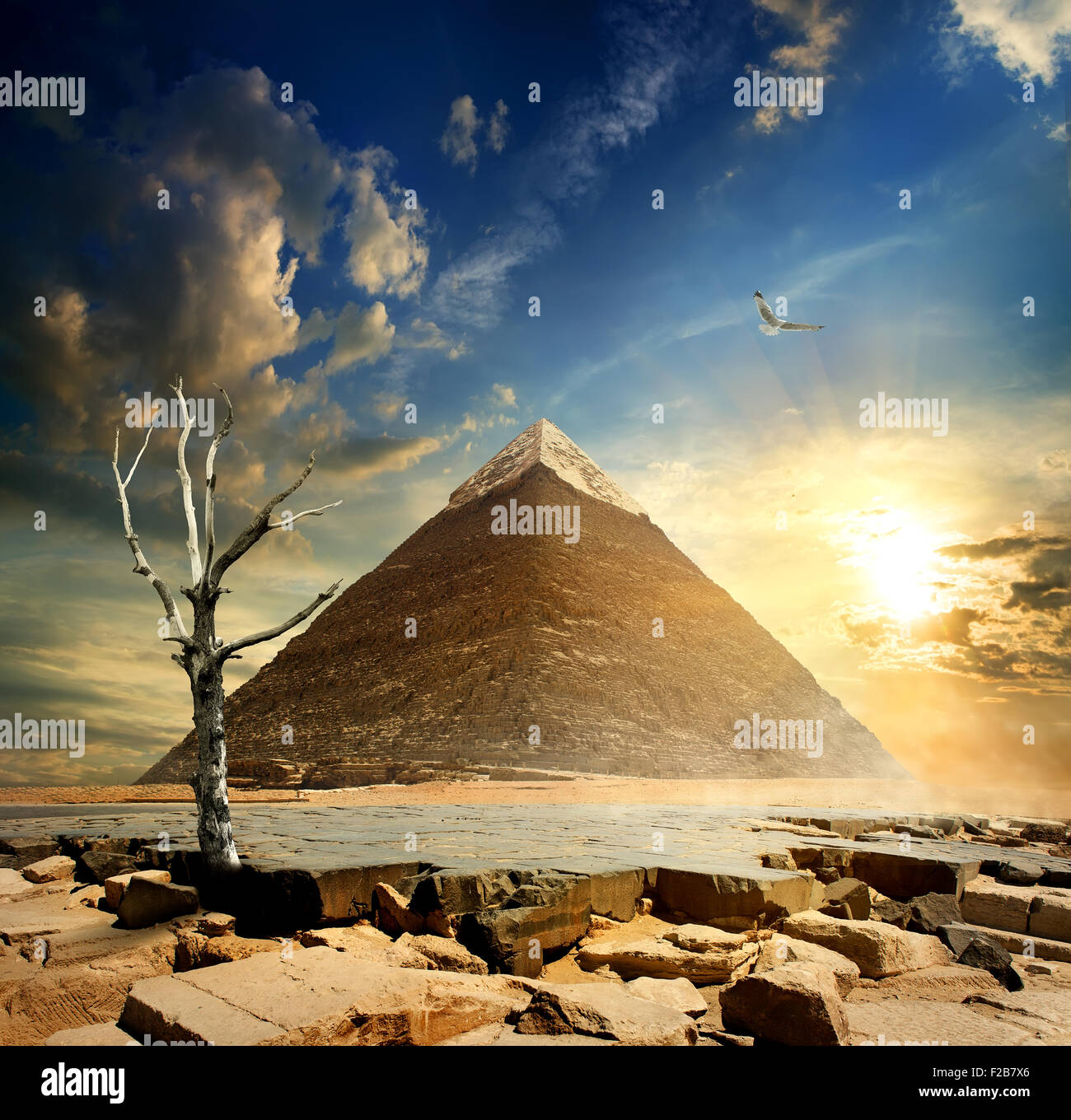 Grand oiseau sur pyramide et arbre sec. Banque D'Images