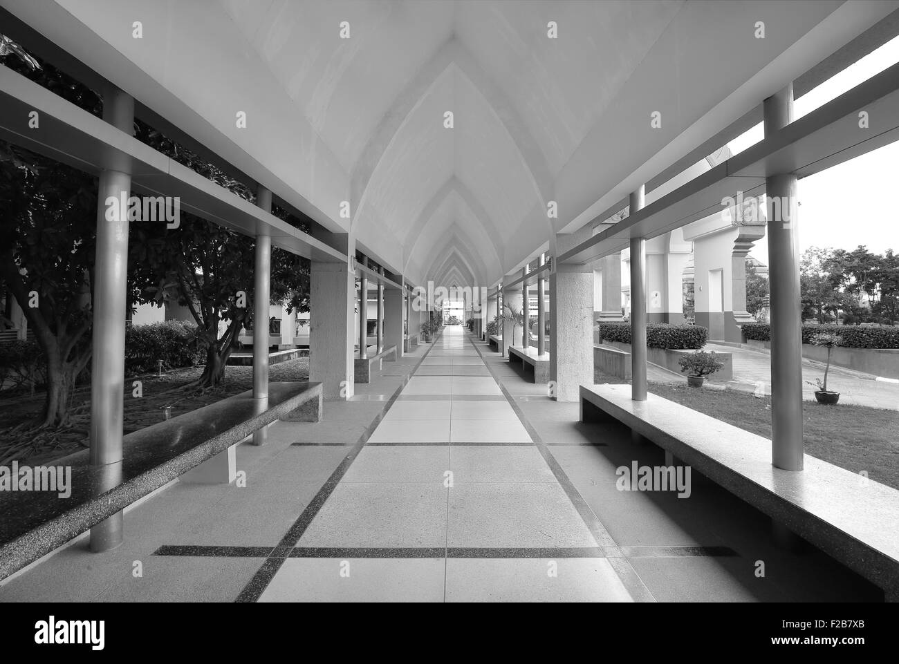 Long couloir vide entre le jardin et bâtiment (fond monochrome) Banque D'Images