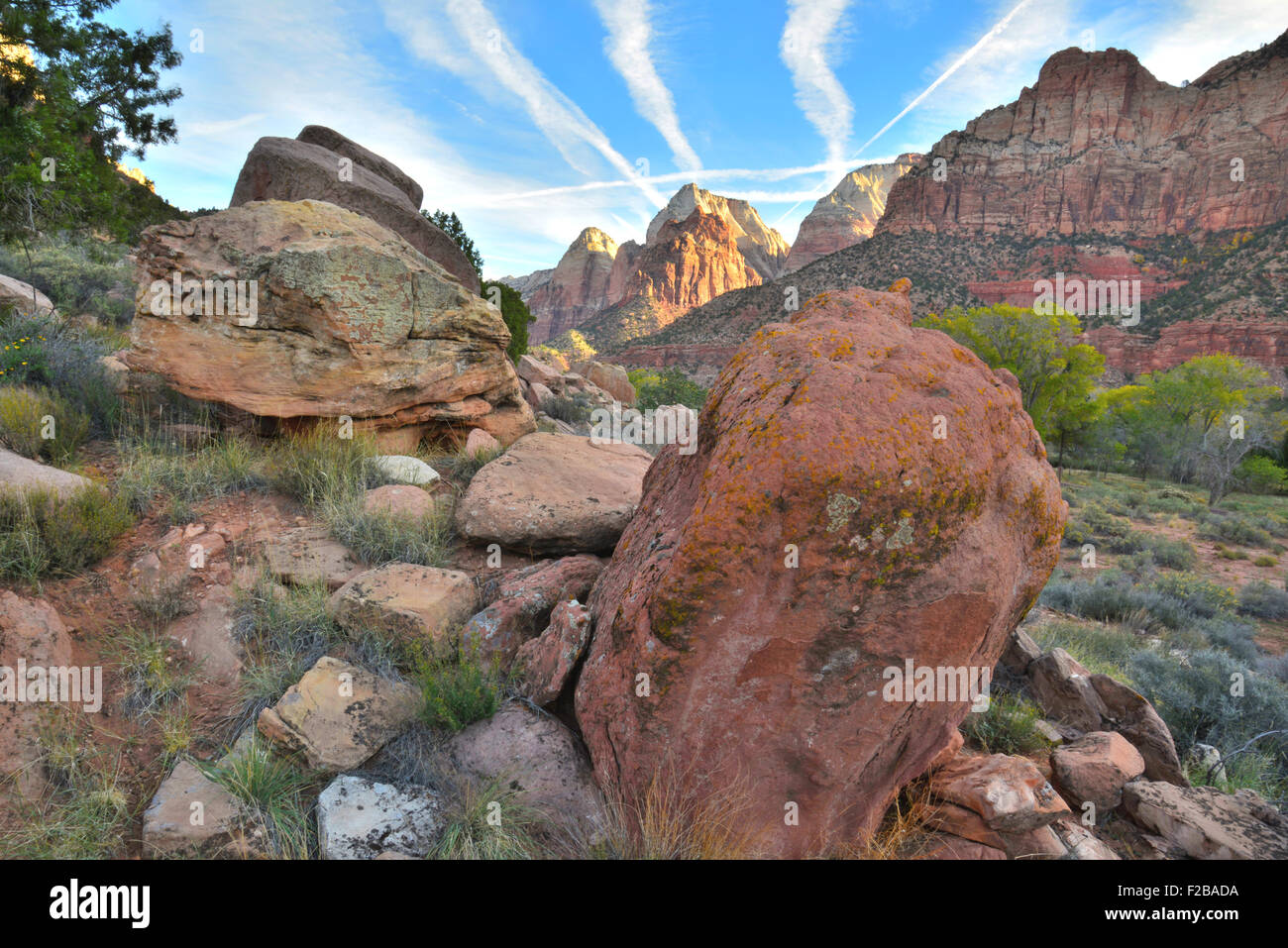 Zion Canyon dans le Parc National Zion près de Springdale Utah dans le sud-ouest de l'Utah Banque D'Images