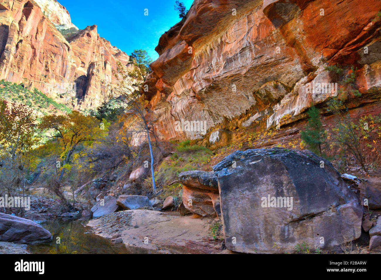 Zion Canyon dans le Parc National Zion près de Springdale Utah dans le sud-ouest de l'Utah Banque D'Images