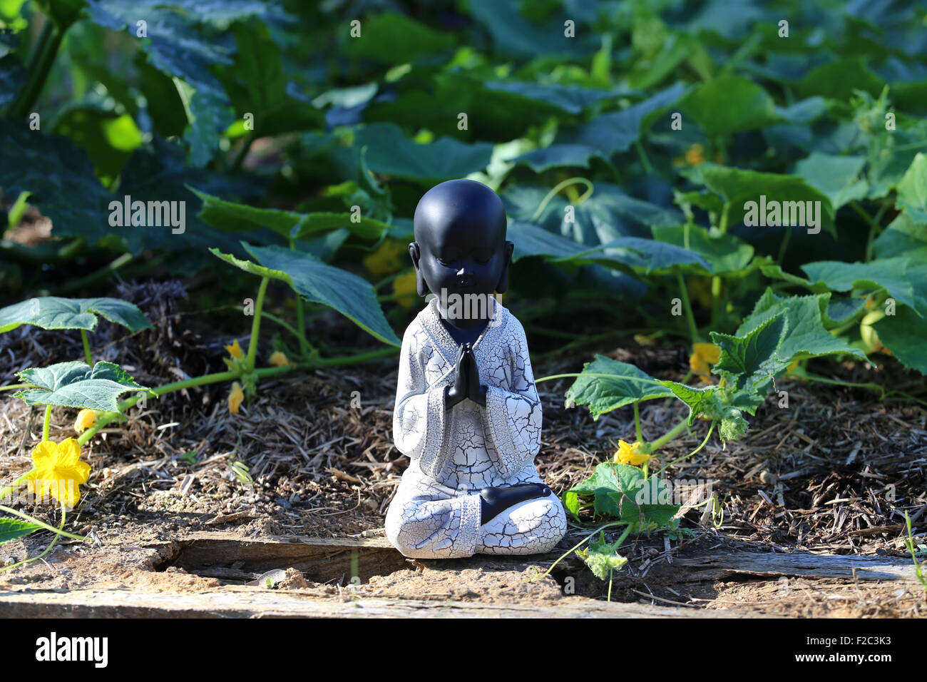 L'enfant Bouddha noir avec des mains qui prient dans jardin Banque D'Images