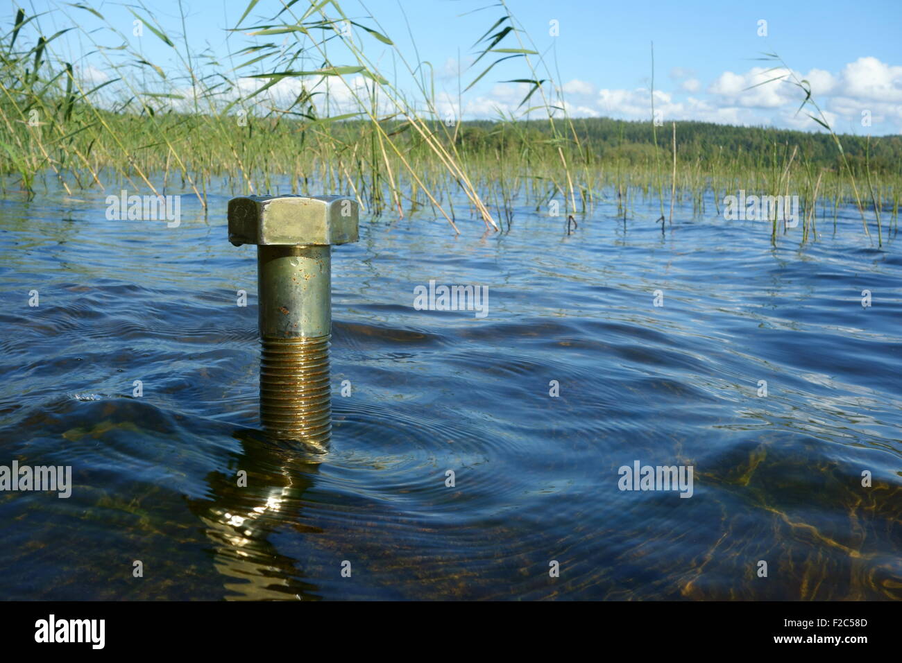 Concept de l'environnement : une seule grande vis laiton debout dans un lac. Banque D'Images