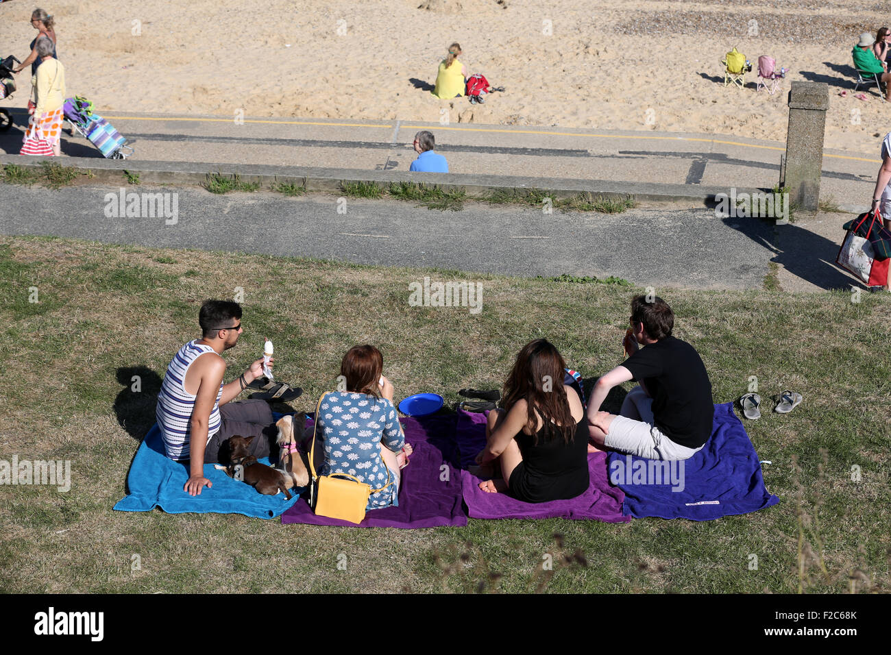 Voyage d'été amis ou visite de la côte ou à la plage avec le chien et Icecream Banque D'Images