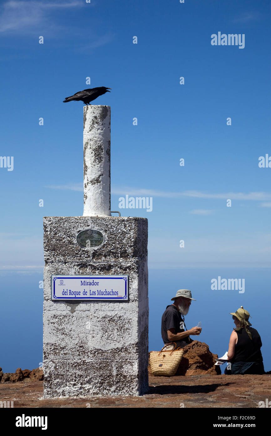 À l'affût de Raven Le Roque de los Muchachos, La Palma, Canary Islands, Spain Banque D'Images