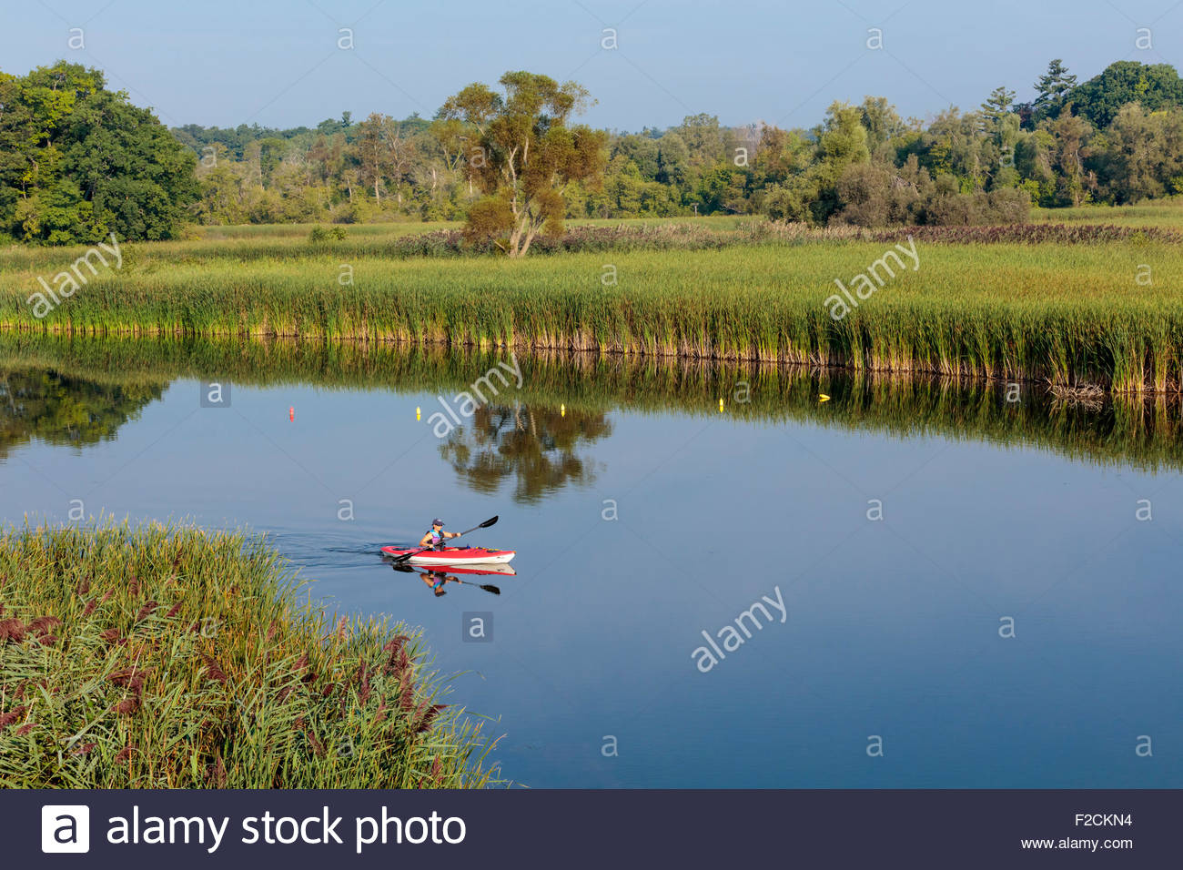 Kayak Dans La Rivière Rouge Près De La Plage Rouge à Rouge