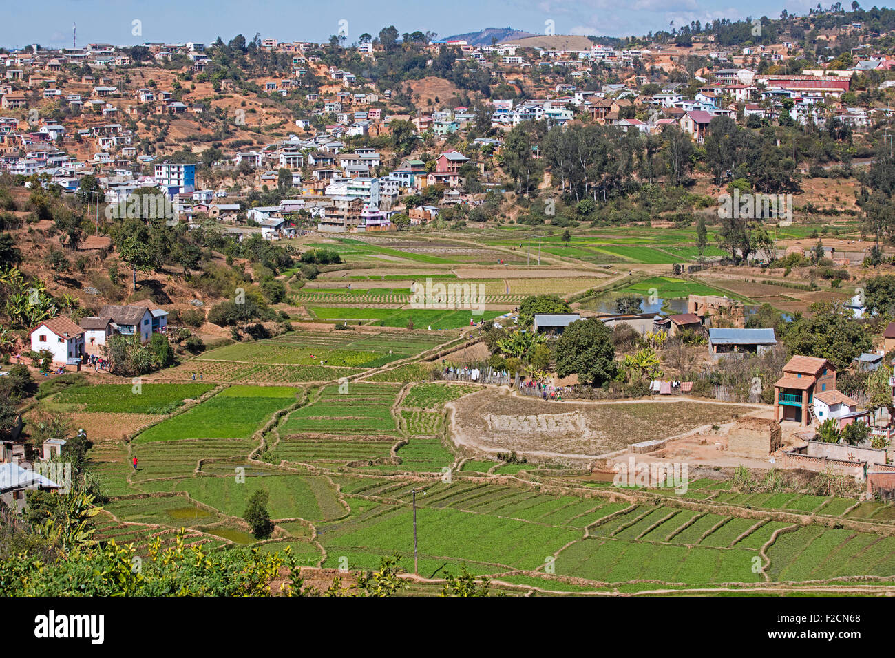 Rizières et de la ville de Fianarantsoa en Haute Matsiatra, Madagascar, Afrique du Sud-Est Banque D'Images