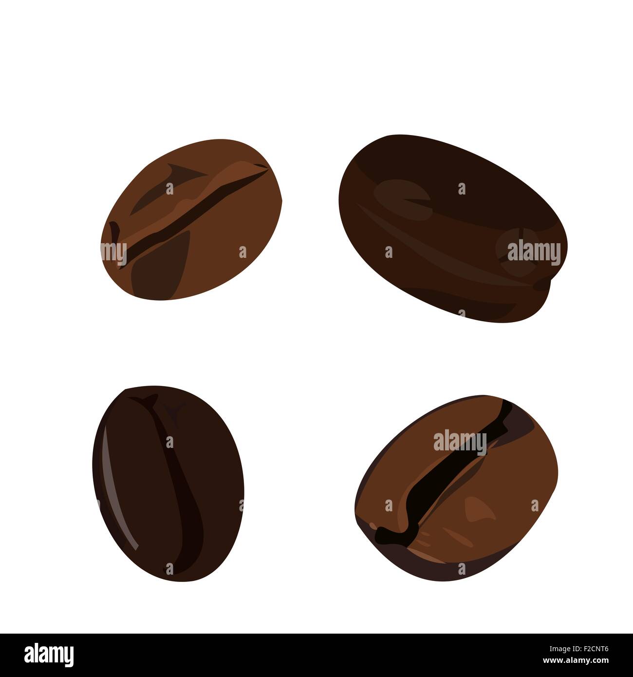 Illustration réaliste coffee bean Illustration de Vecteur