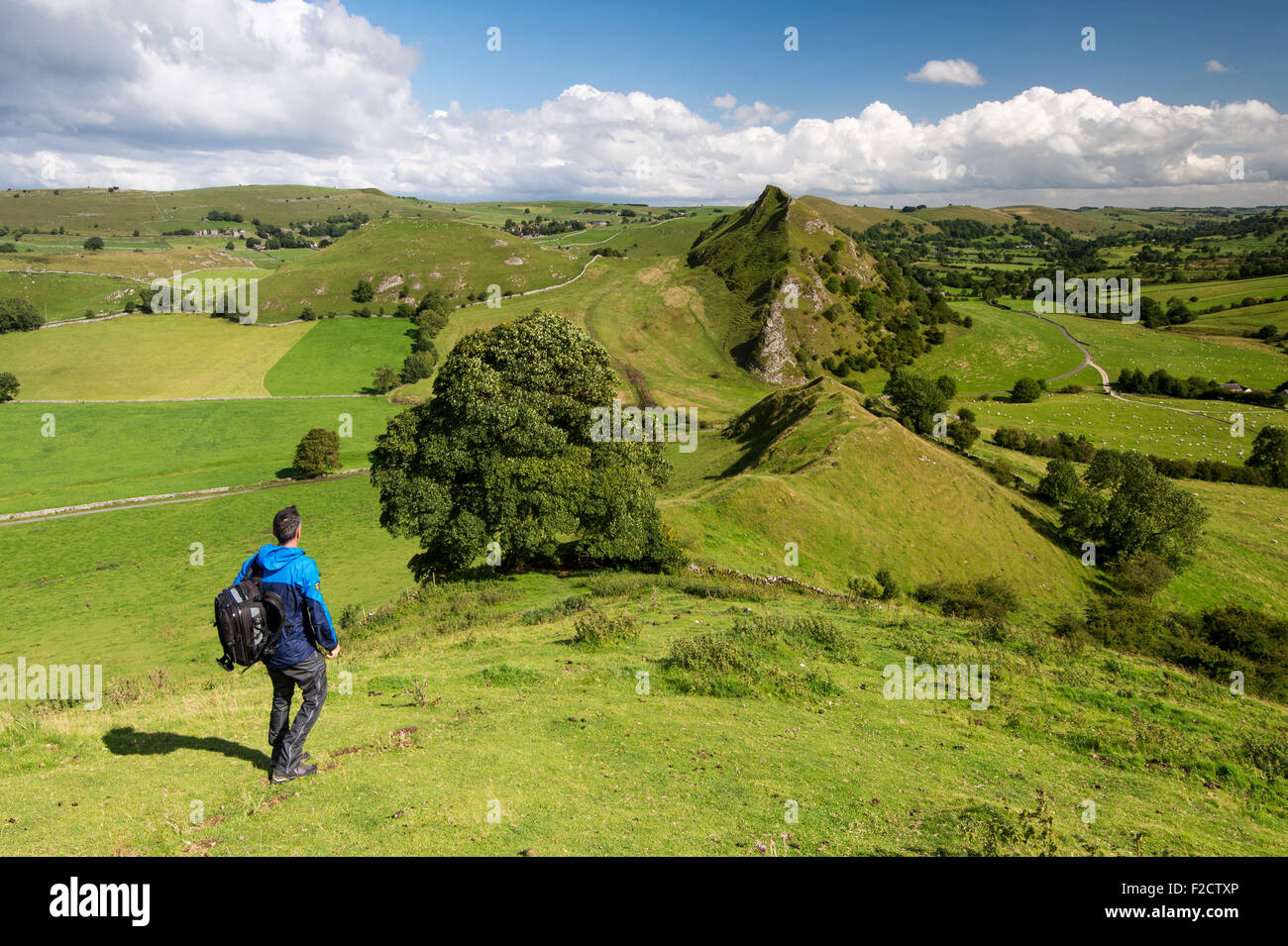Un walker au Parkhouse Hill et Chrome Hill, parc national de Peak District, Derbyshire, Angleterre Banque D'Images
