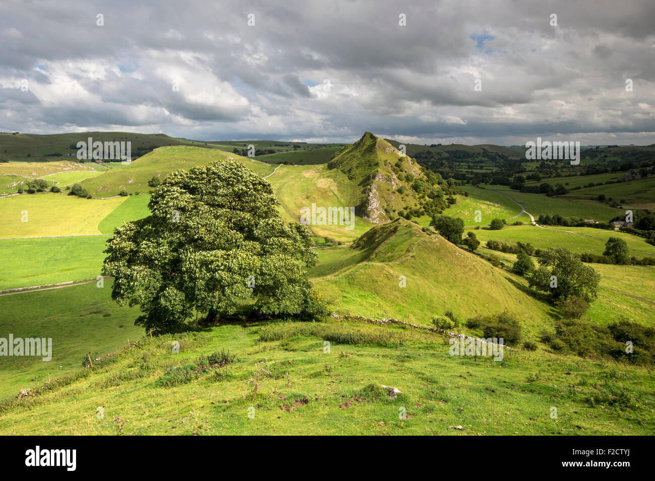 Parkhouse Hill et Chrome Hill, parc national de Peak District, Derbyshire, Angleterre Banque D'Images