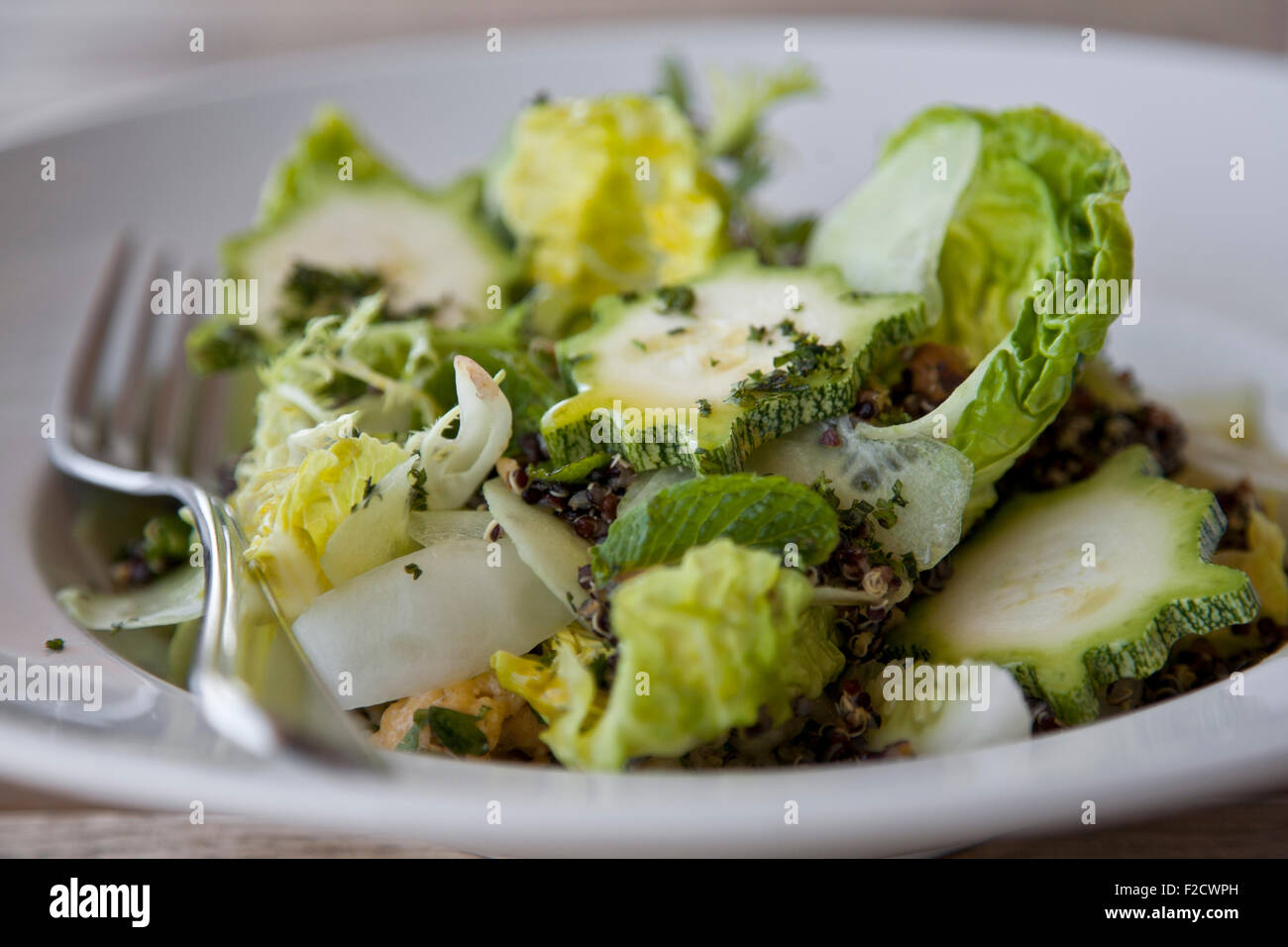 Vue latérale d'une salade verte avec des courts de squash et de laitue sur plaque blanche avec une fourchette Banque D'Images Vue latérale d'une salade verte avec des courts de squash et de laitue sur plaque blanche avec une fourchette Banque D'Images