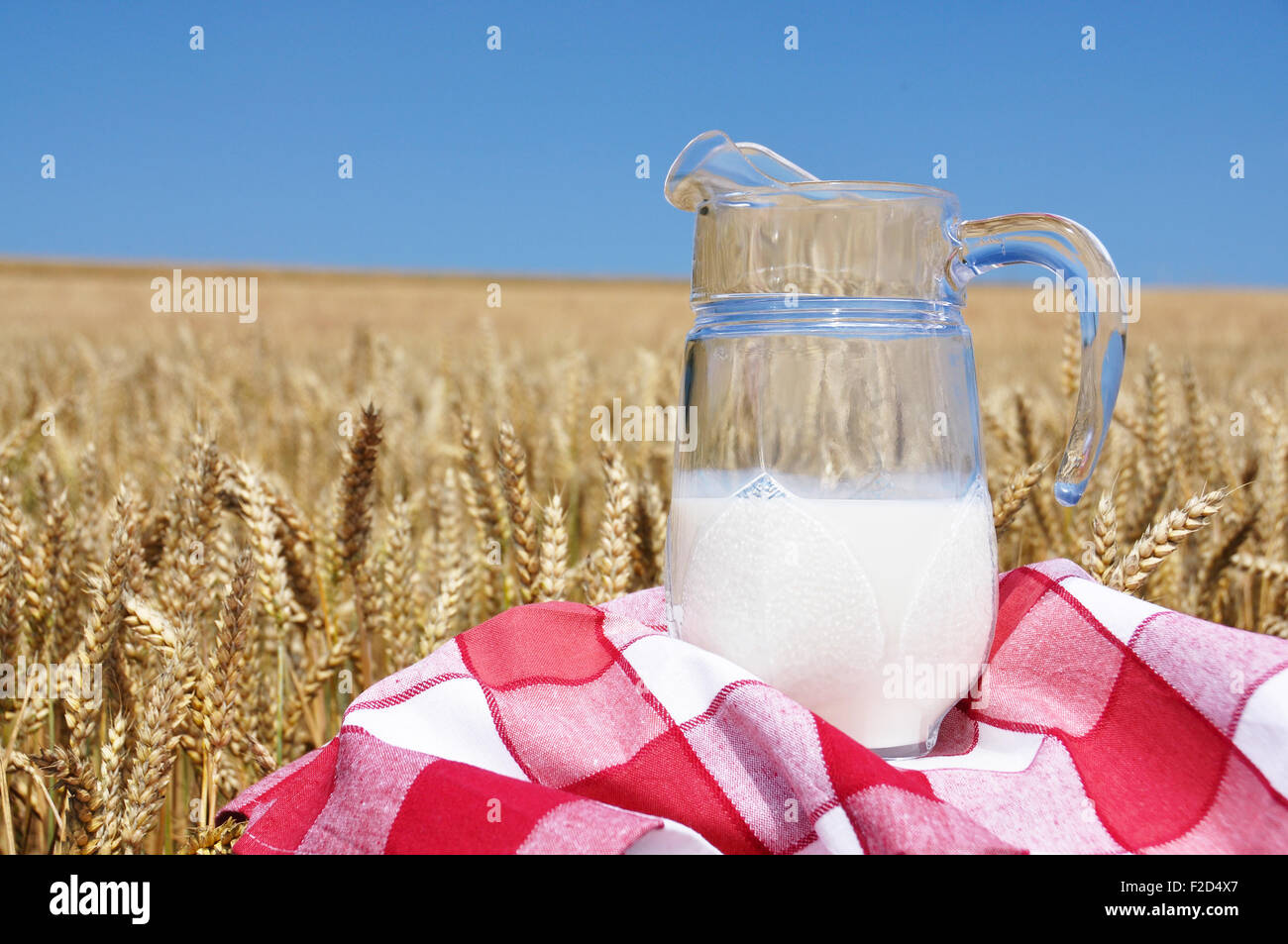 Pichet de lait contre champ de blé Banque D'Images