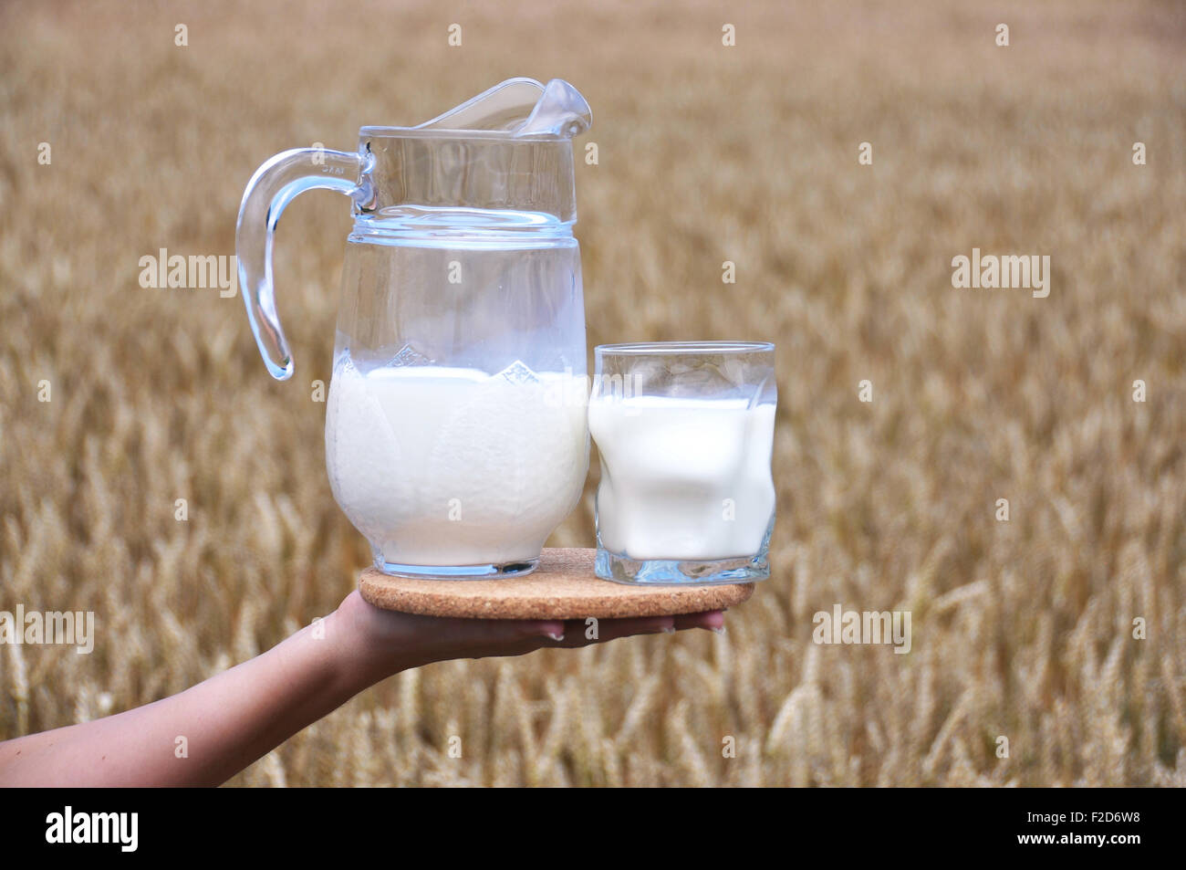 Pichet de lait contre champ de blé Banque D'Images