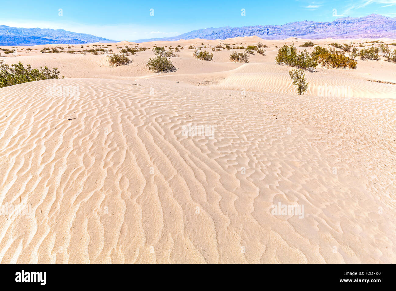 Dunes de sable dans la Death Valley National Park, Stovepipe Wells, California, USA. Banque D'Images