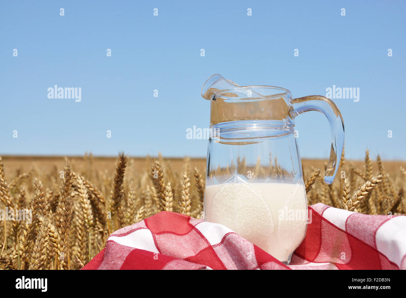 Pichet de lait contre champ de blé Banque D'Images