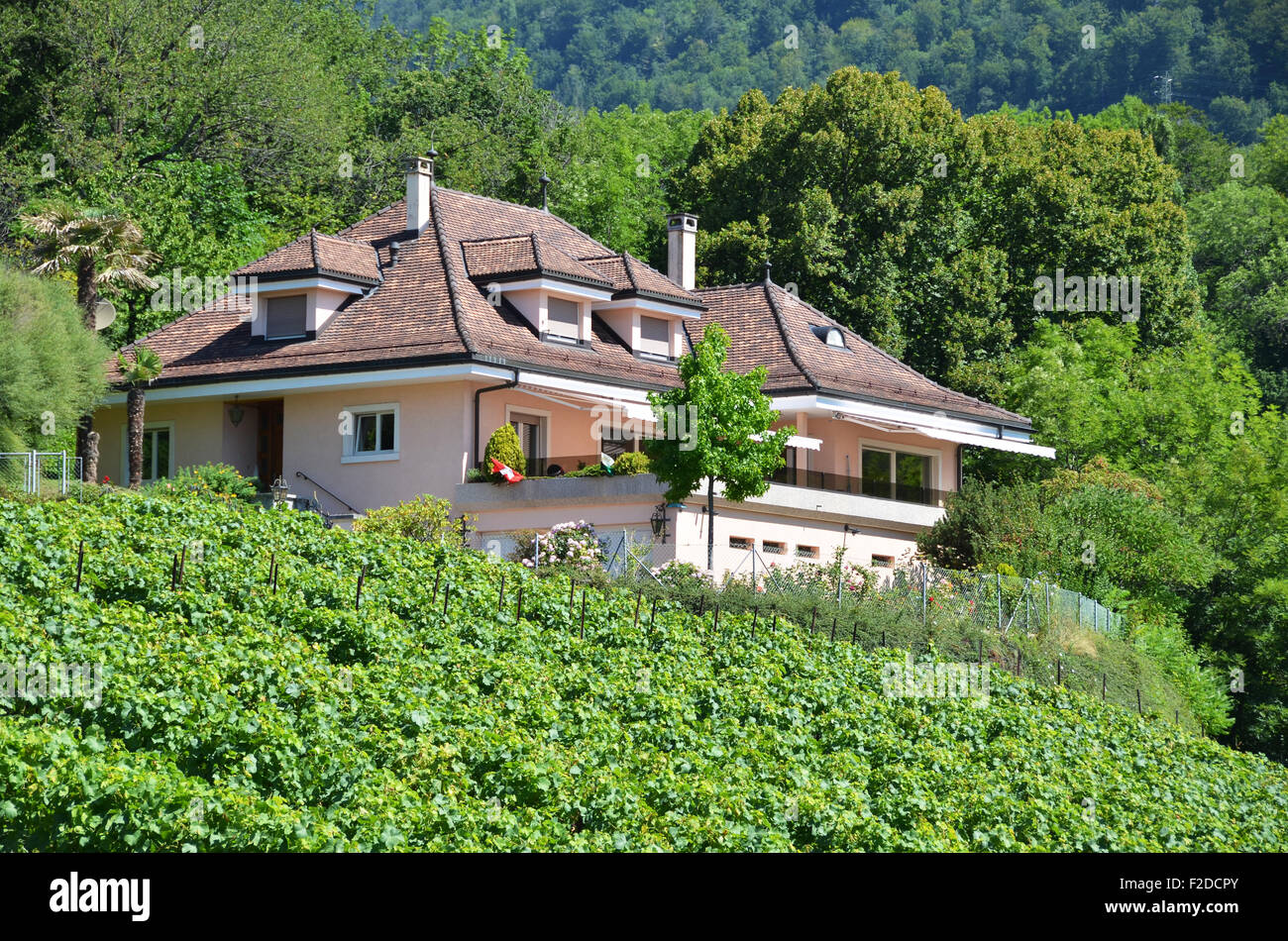 Vignobles de Lavaux, Région, Suisse Banque D'Images