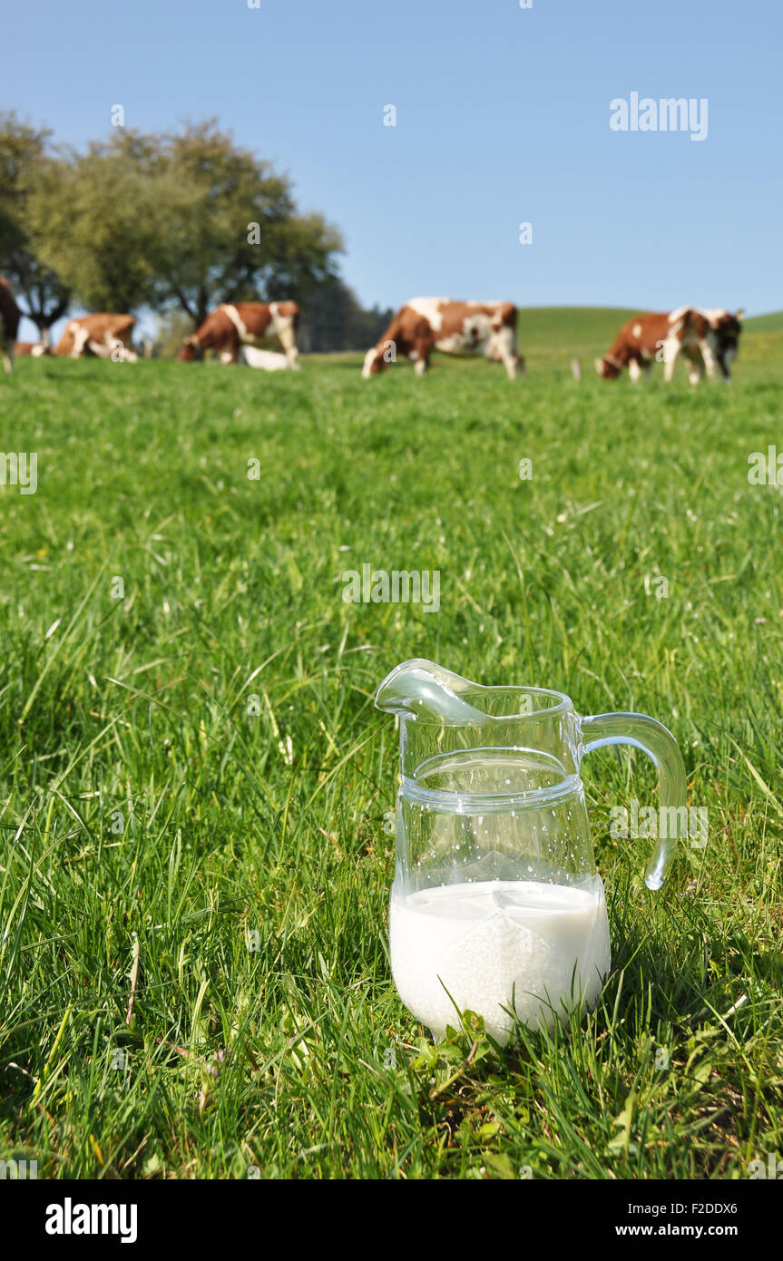 Pichet de lait contre troupeau de vaches. Région de l'Emmental, Suisse Banque D'Images