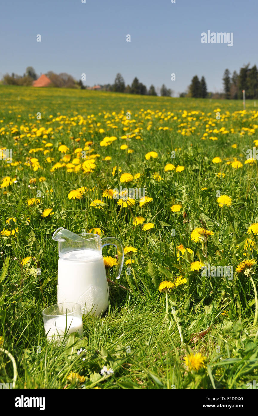 Pichet de lait sur le pré. Région de l'Emmental, Suisse Banque D'Images