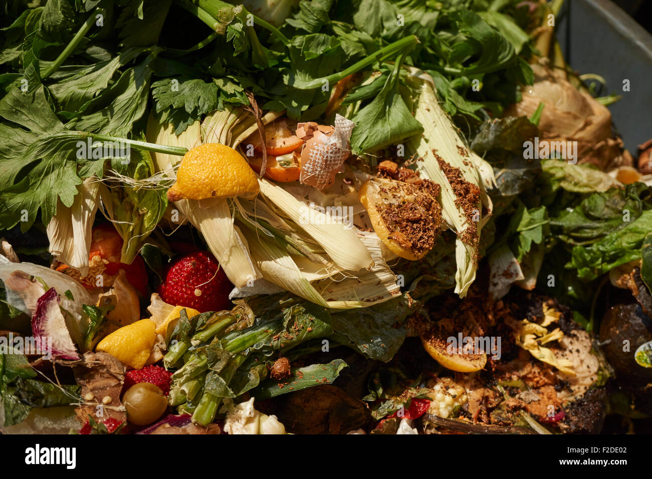 Une collecte des déchets alimentaires bin à l'Union Square Greenmarket, Manhattan, New York City, USA Banque D'Images