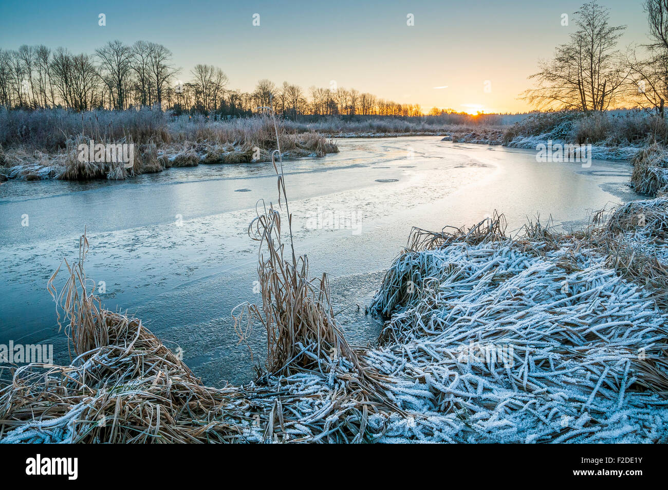 Le lever du soleil, d'hiver, Still Creek Burnaby Lake Regional Park, Burnaby, Colombie-Britannique, Canada Banque D'Images