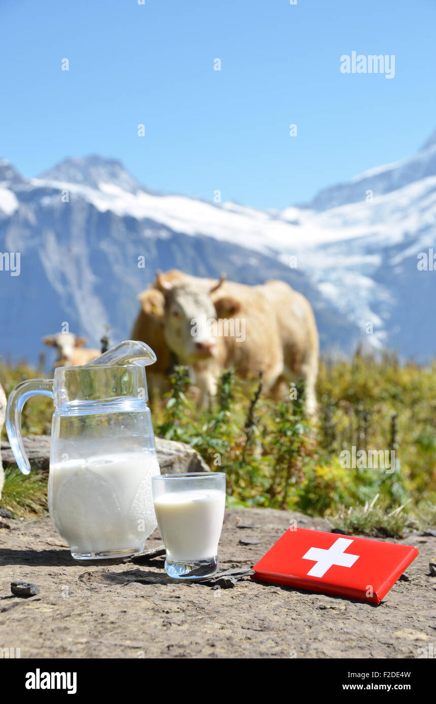 Le chocolat suisse et pichet de lait sur la prairie alpine. La Suisse Banque D'Images