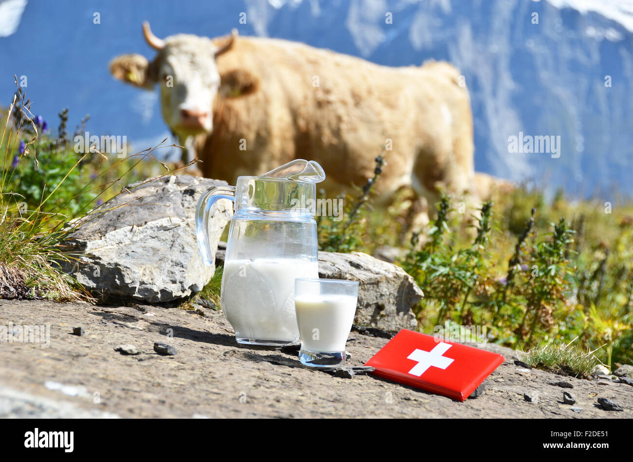 Le chocolat suisse et pichet de lait sur la prairie alpine. La Suisse Banque D'Images