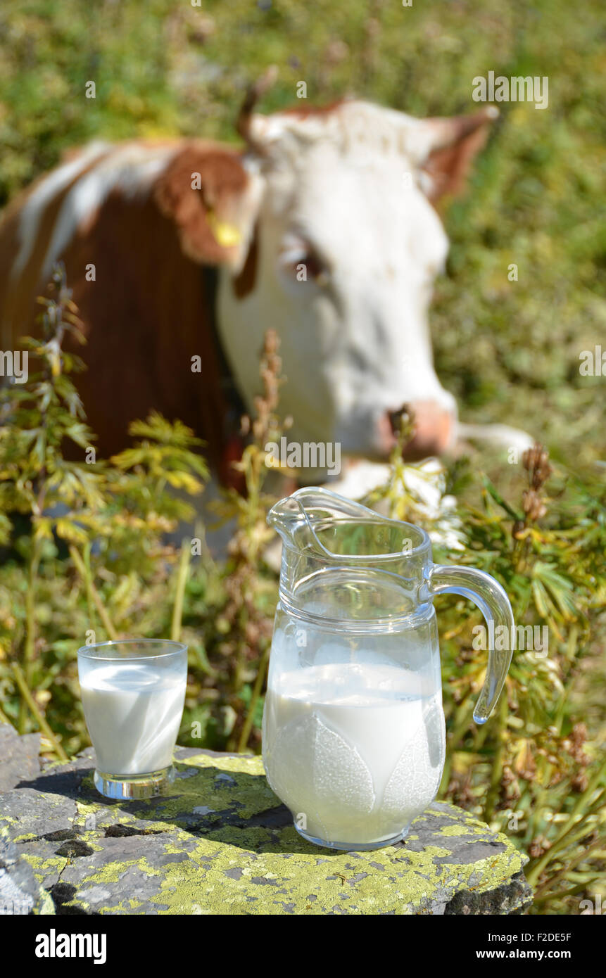 Vache suisse et pichet de lait Banque D'Images