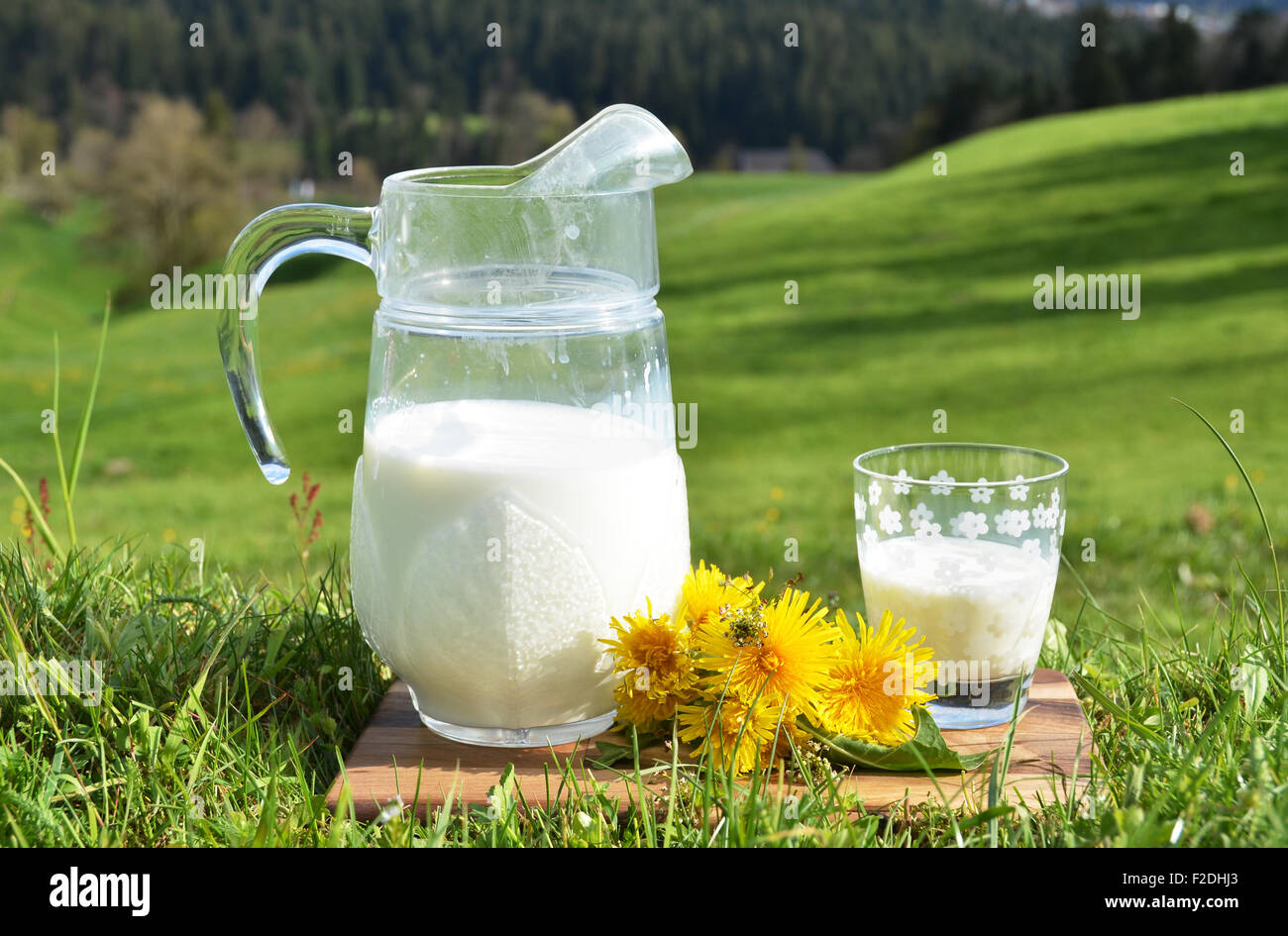 Pichet de lait. Région de l'Emmental, Suisse Banque D'Images