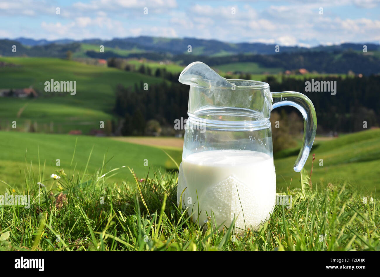 Pichet de lait. Région de l'Emmental, Suisse Banque D'Images