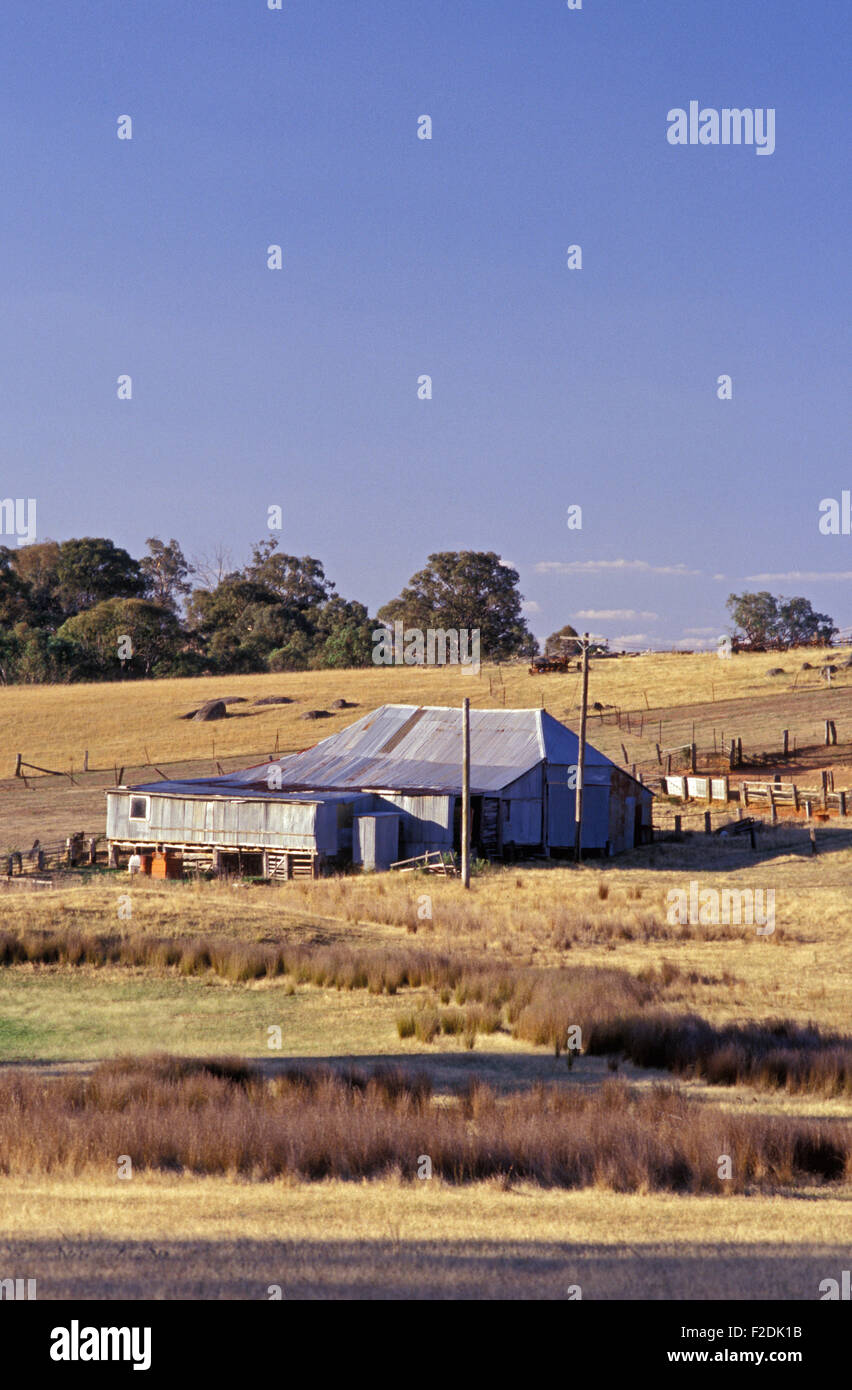 Ancien hangar de tonte, KINGSVALE, NEW SOUTH WALES, AUSTRALIE Banque D'Images