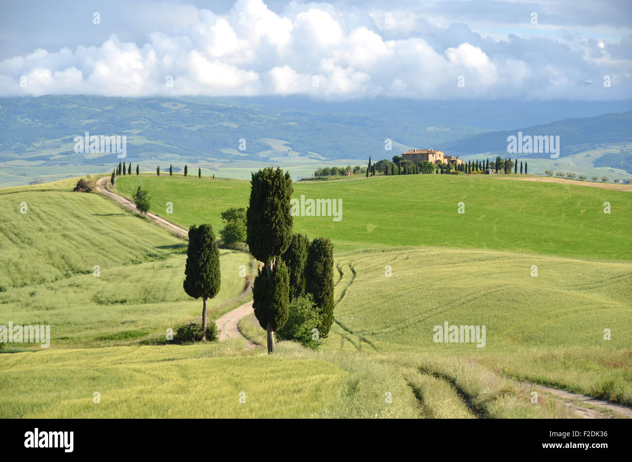 Paysage toscan italie Banque de photographies et d’images à haute ...