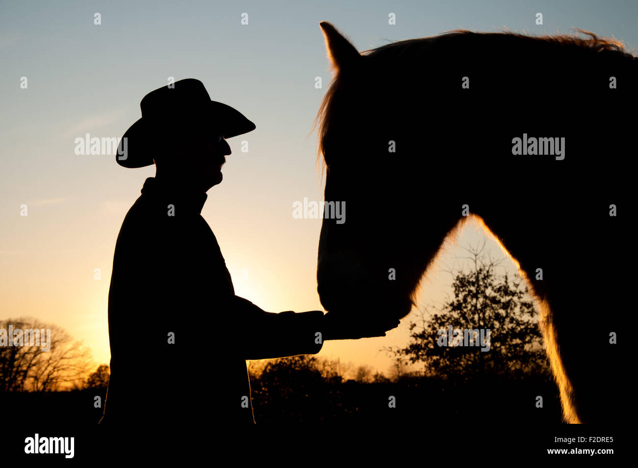 Silhouette d'un homme dans un chapeau de cow-boy avec son cheval contre le coucher du soleil Banque D'Images