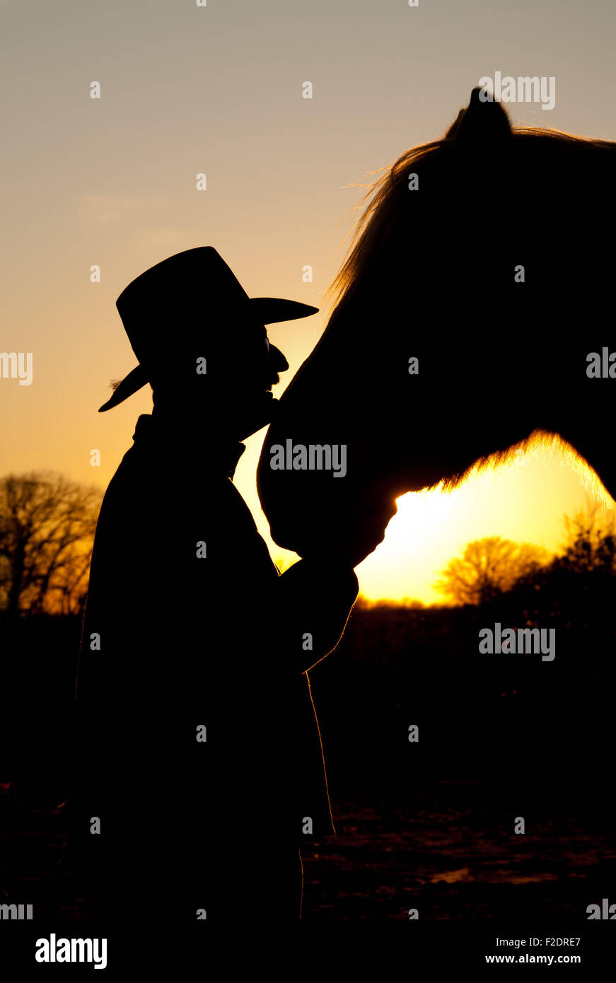 Cheval et son cowboy silhouetted against a sunset, tête-à-tête Banque D'Images