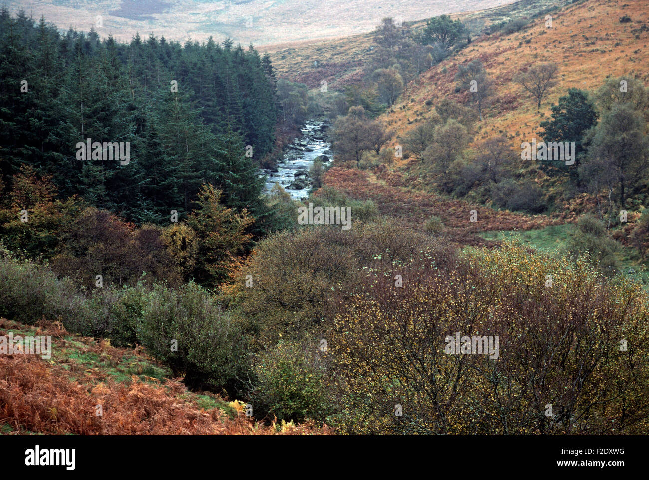 Source de la rivière Liffey, Montagnes de Wicklow, cité par James Joyce dans Finnegans Wake', 'l'Irlande Banque D'Images