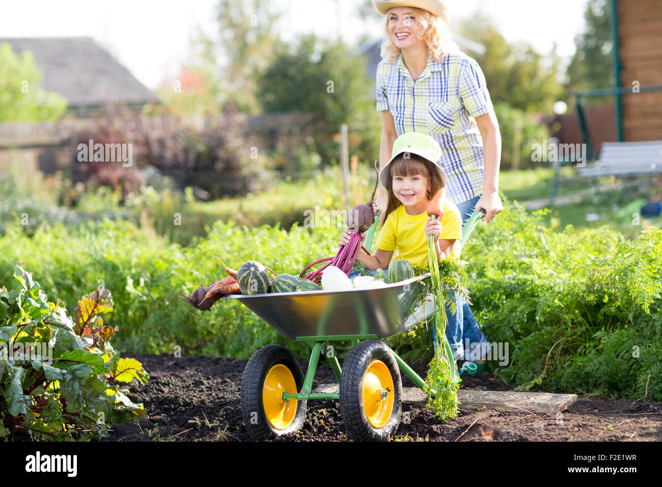 Chauffeur particulier femme pushing wheelbarrow avec kid fille et des légumes à sunny day Banque D'Images